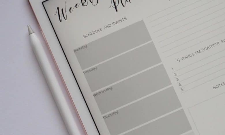 17+ modèles de GoodNotes esthétiques (payants et gratuits) 2022