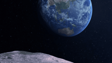 Comment les smartphones Android bon marché se comparent-ils aux appareils ordinaires ?