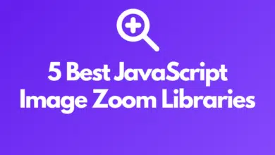 5 meilleures bibliothèques de zoom d'images JavaScript à découvrir : la liste ultime