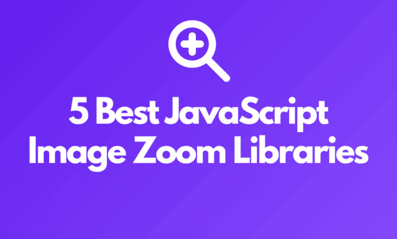 5 meilleures bibliothèques de zoom d'images JavaScript à découvrir : la liste ultime