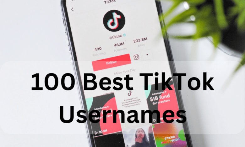 100 meilleurs noms d'utilisateur TikTok - TurboFuture