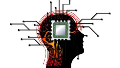 Qu'est-ce qu'un ordinateur Wetware ?