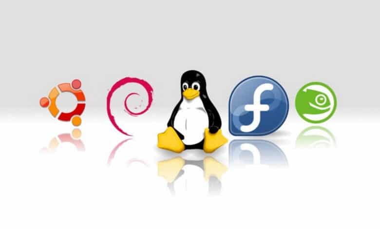 Premiers pas avec Linux : Guide du débutant