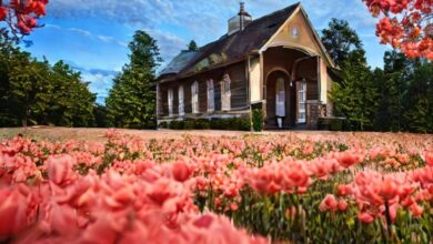 Rédaction d'excellentes invites pour le générateur d'images Stable Diffusion AI