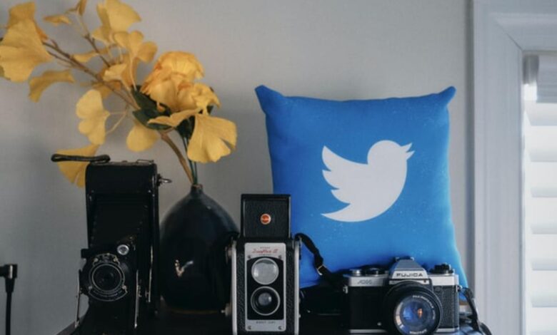 Les meilleurs moments pour publier sur Twitter en 2023 : la réponse surprenante