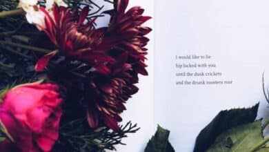 Top 7 des applications et des sites Web pour lire et apprécier la poésie